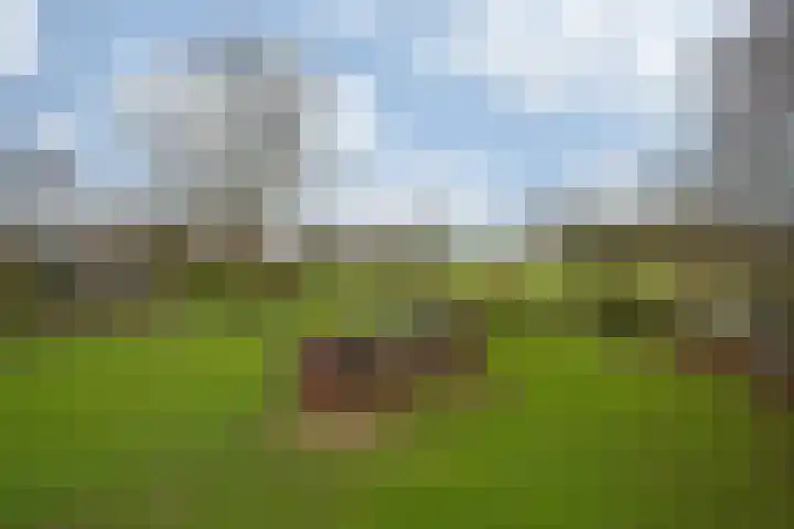 Oude Tolweg 5 Belfeld thumbnail 58