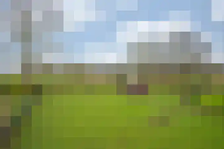 Oude Tolweg 5 Belfeld thumbnail 59