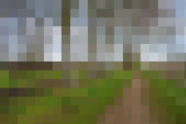 Oude Tolweg 5 Belfeld thumbnail 60