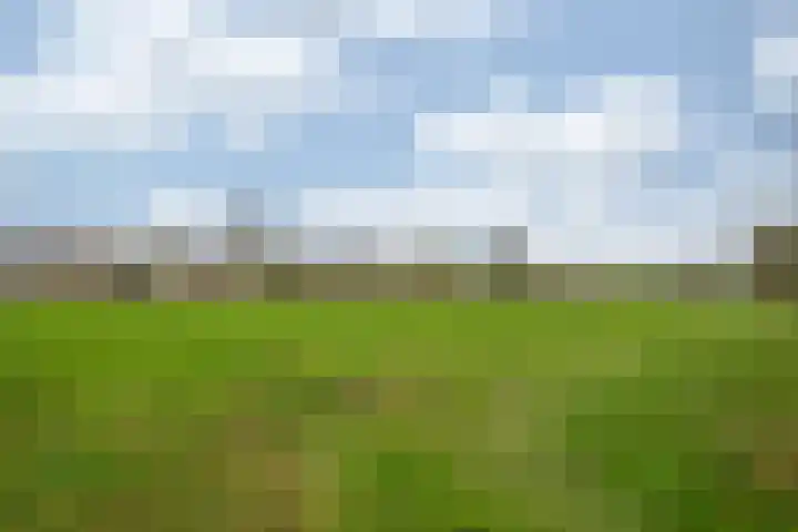Oude Tolweg 5 Belfeld thumbnail 62