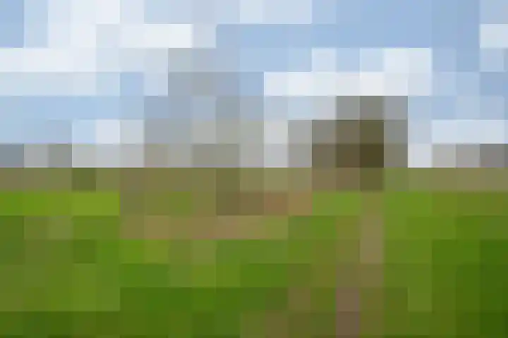 Oude Tolweg 5 Belfeld thumbnail 63