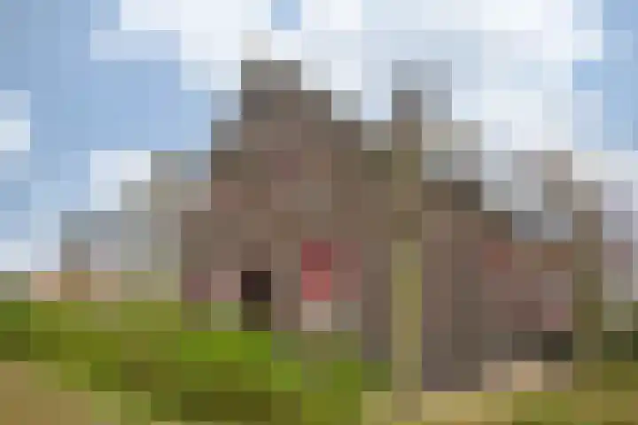 Oude Tolweg 5 Belfeld thumbnail 66
