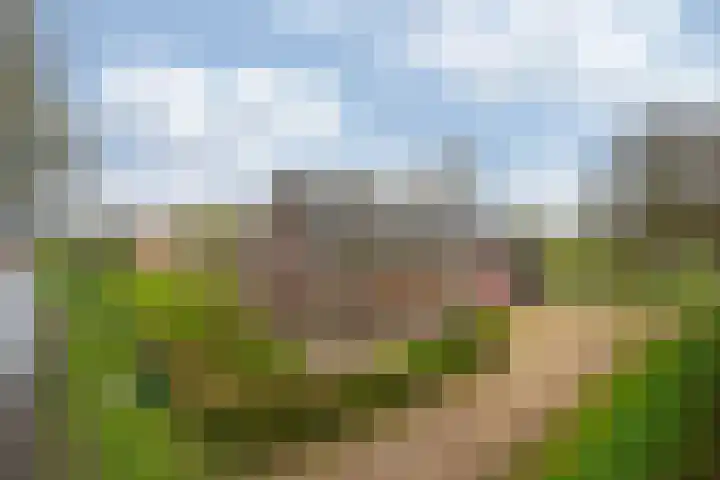 Oude Tolweg 5 Belfeld thumbnail 69