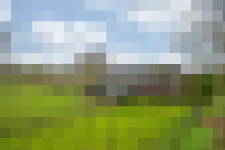 Oude Tolweg 5 Belfeld thumbnail 71