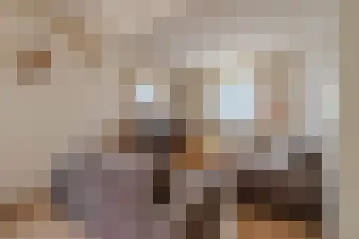 Oude Tolweg 5 Belfeld thumbnail 9