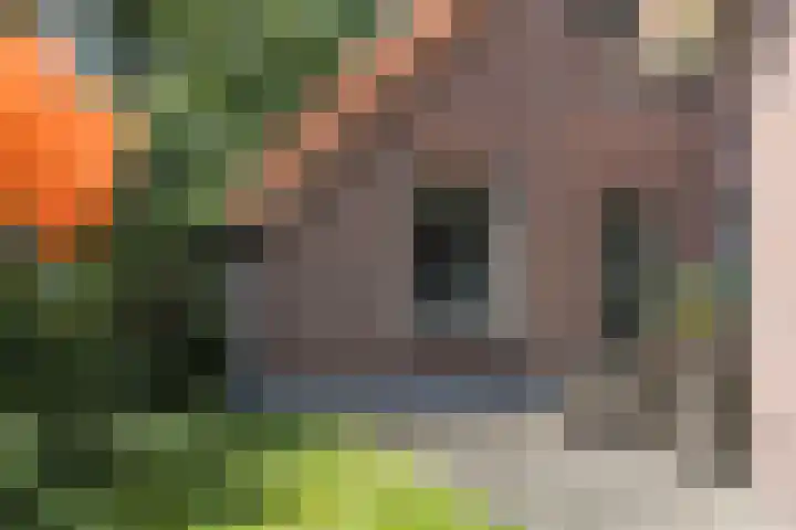 Oude Uelserdijk 6 Mander thumbnail 36