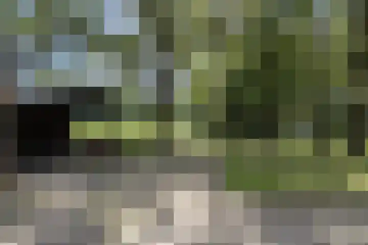 Oude Uelserdijk 6 Mander thumbnail 38