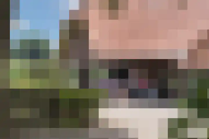 Oude Uelserdijk 6 Mander thumbnail 41