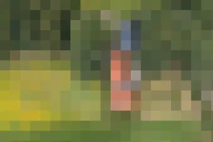 Oude Uelserdijk 6 Mander thumbnail 49