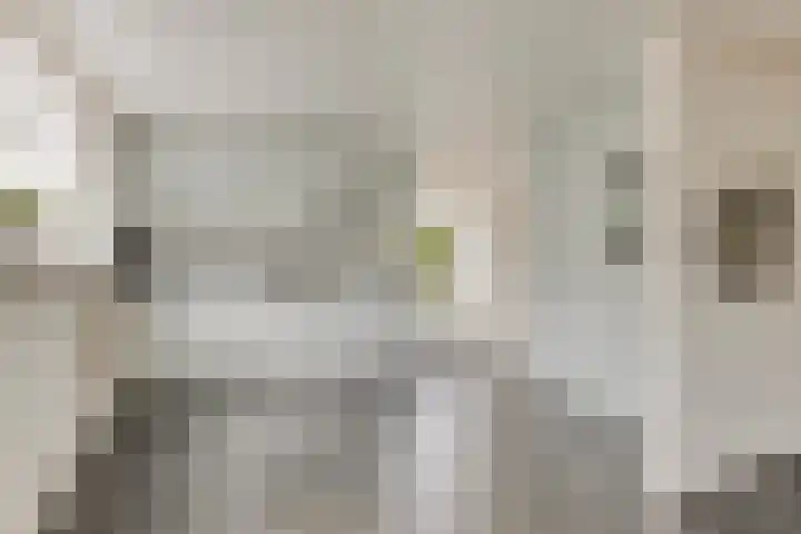 Oude veiling 35 Kapelle thumbnail 17