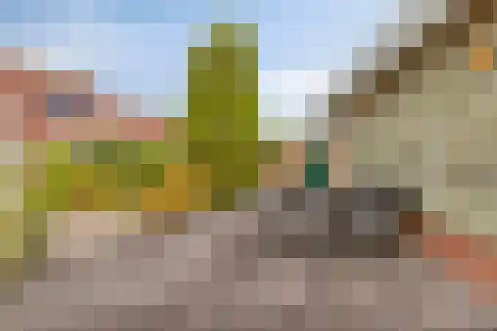 Oude veiling 35 Kapelle thumbnail 39
