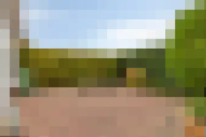 Oude veiling 35 Kapelle thumbnail 40