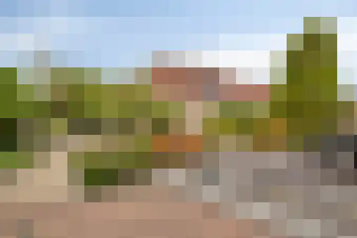 Oude veiling 35 Kapelle thumbnail 41