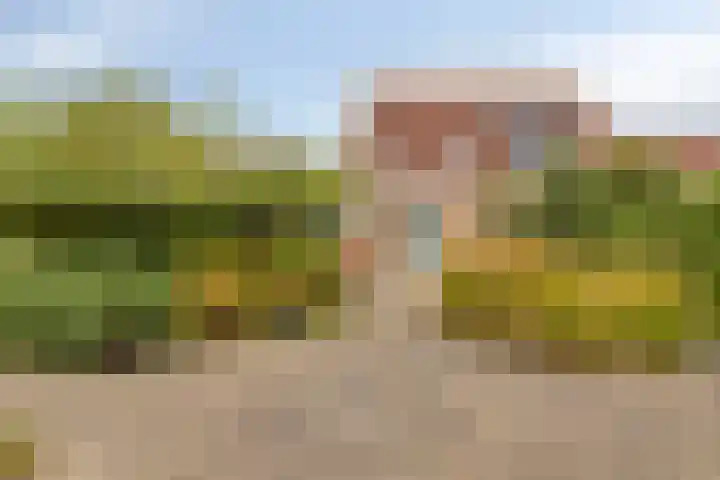 Oude veiling 35 Kapelle thumbnail 42