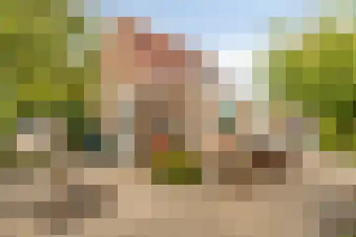 Oude veiling 35 Kapelle thumbnail 43