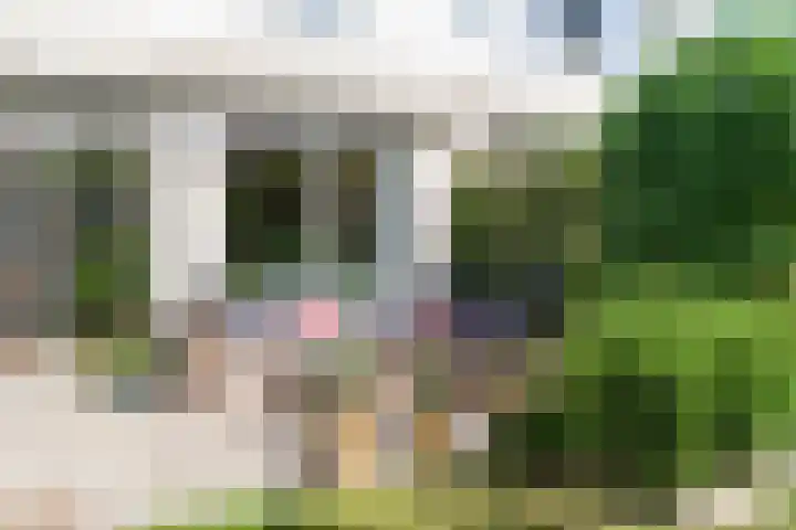 Oude Veiling 38 Den Hoorn thumbnail 14