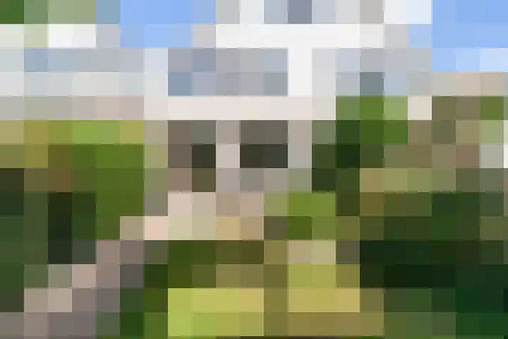Oude Veiling 38 Den Hoorn thumbnail 15