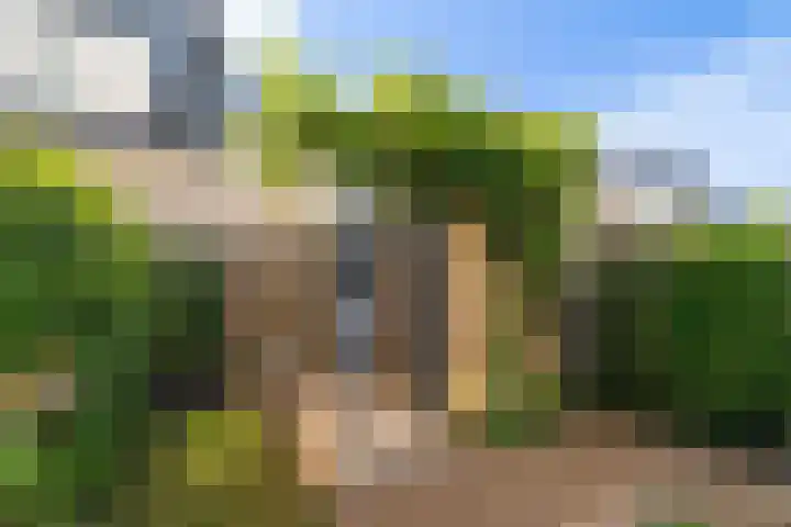 Oude Veiling 38 Den Hoorn thumbnail 18