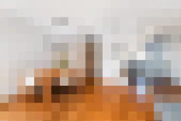 Oude Veiling 38 Den Hoorn thumbnail 20