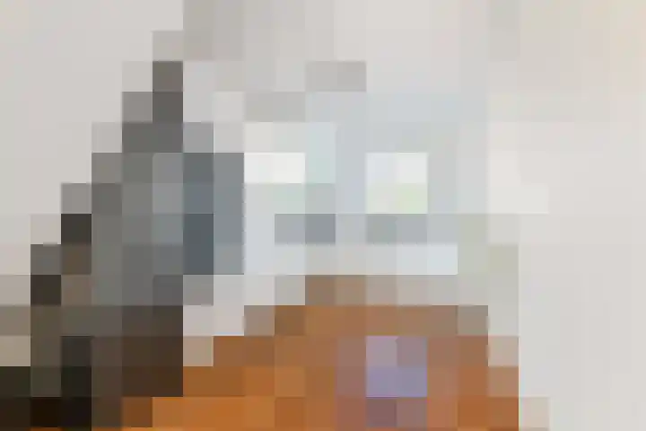 Oude Veiling 38 Den Hoorn thumbnail 21
