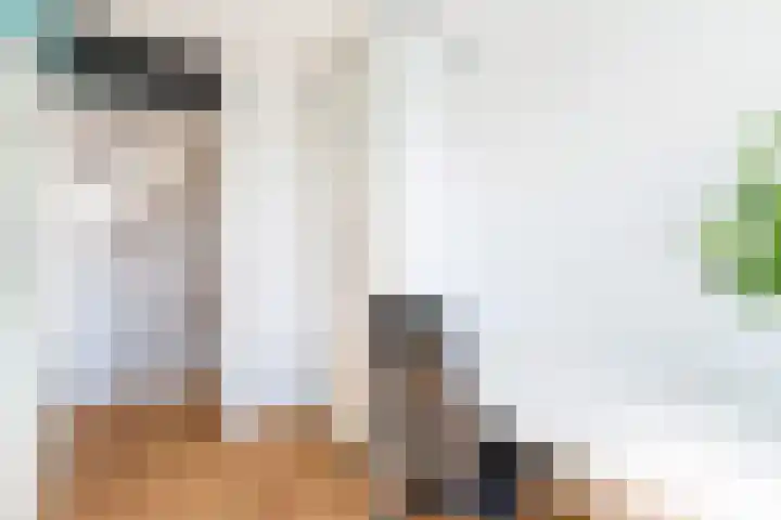 Oude Veiling 38 Den Hoorn thumbnail 27