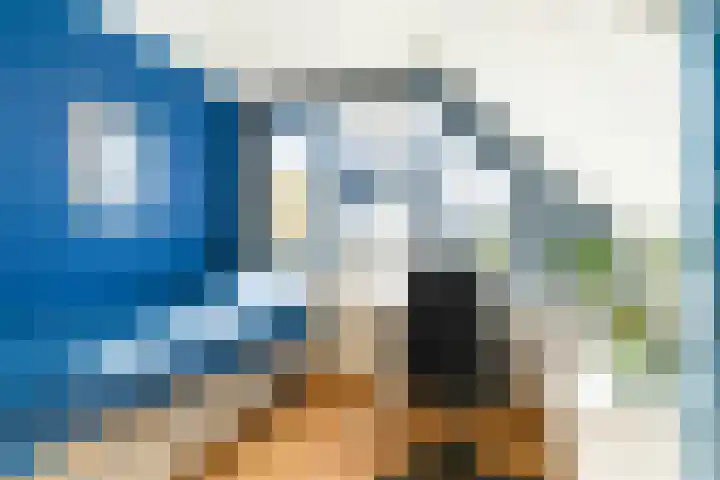 Oude Veiling 38 Den Hoorn thumbnail 30