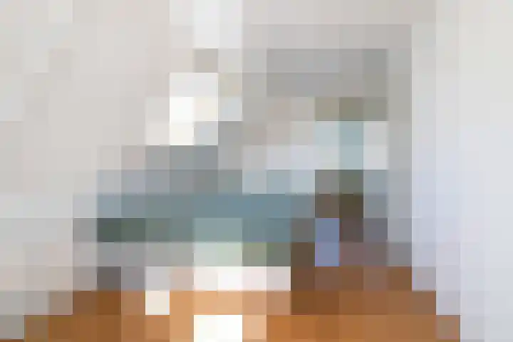 Oude Veiling 38 Den Hoorn thumbnail 35