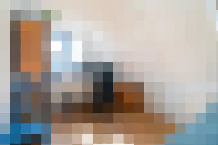 Oude Veiling 38 Den Hoorn thumbnail 36