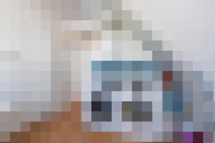Oude Veiling 38 Den Hoorn thumbnail 38