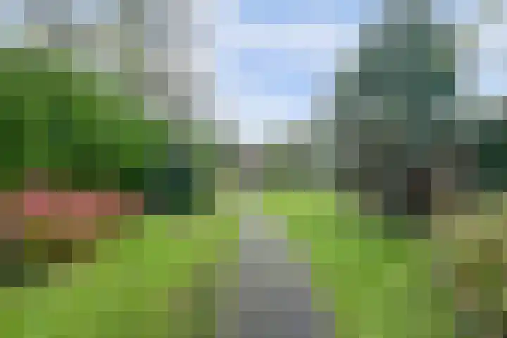 Oude Velperweg 30 Arnhem thumbnail 39