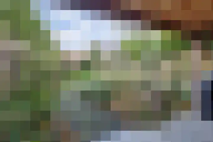 Oude Velperweg 30 Arnhem thumbnail 44