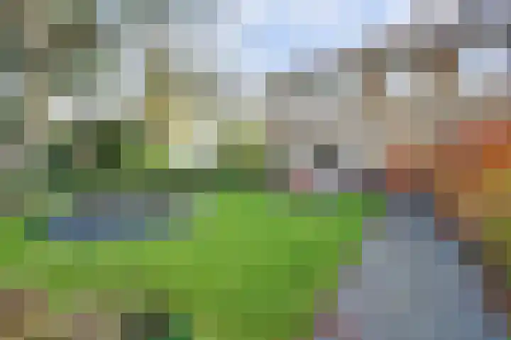 Oude Velperweg 30 Arnhem thumbnail 48