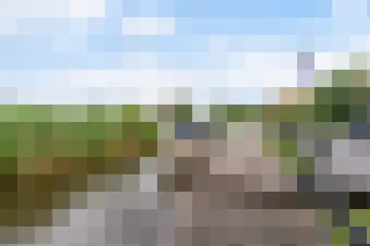 Oude Venen 29 Warten thumbnail 11