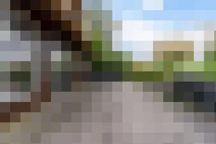 Oude Venen 29 Warten thumbnail 12