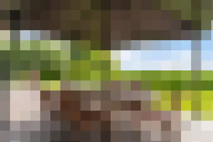 Oude Venen 29 Warten thumbnail 13