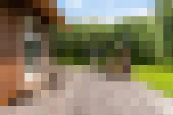 Oude Venen 29 Warten thumbnail 14