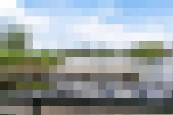 Oude Venen 29 Warten thumbnail 23