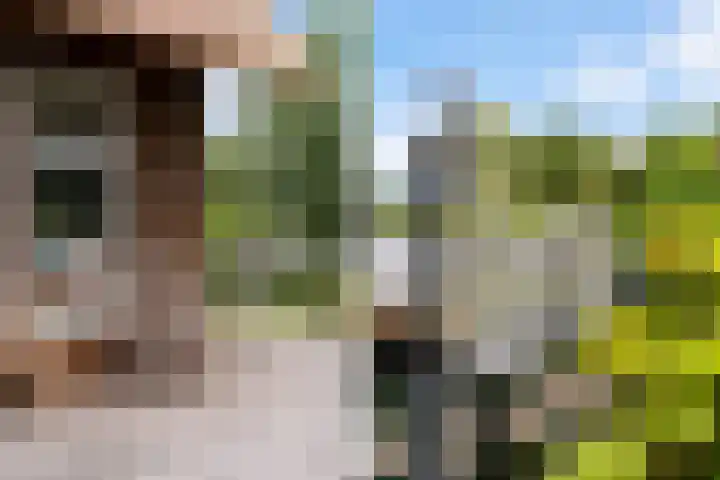 Oude Venen 29 Warten thumbnail 25