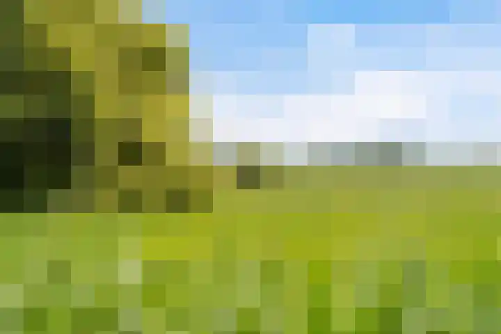 Oude Venen 29 Warten thumbnail 27