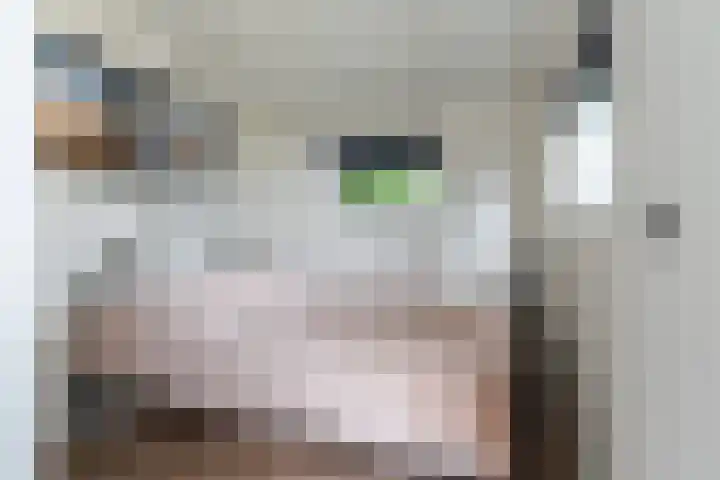 Oude Venen 29 Warten thumbnail 43
