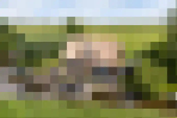 Oude Venen 29 Warten thumbnail 57