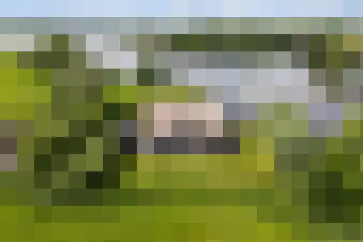 Oude Venen 29 Warten thumbnail 58