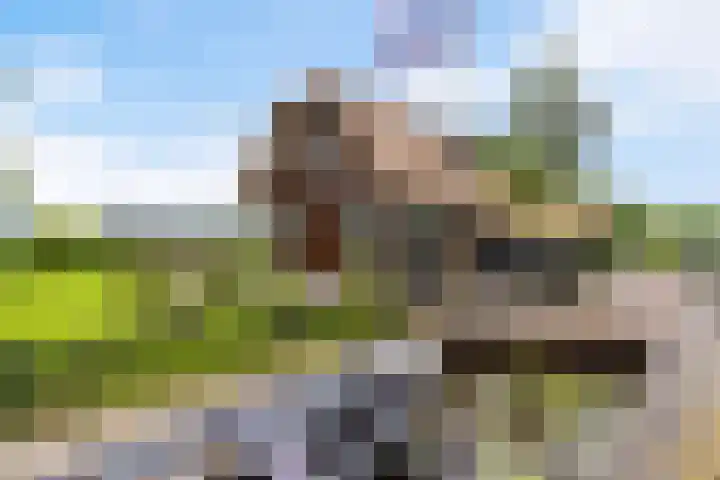 Oude Venen 29 Warten thumbnail 9
