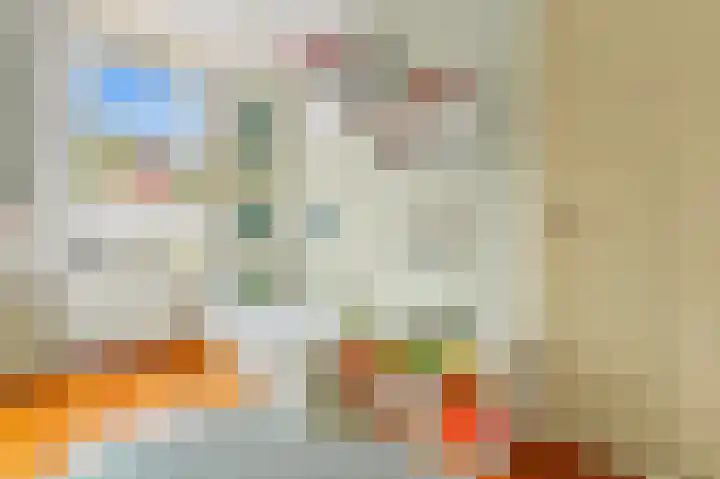 Oude Vest 11 E Leiden thumbnail 13