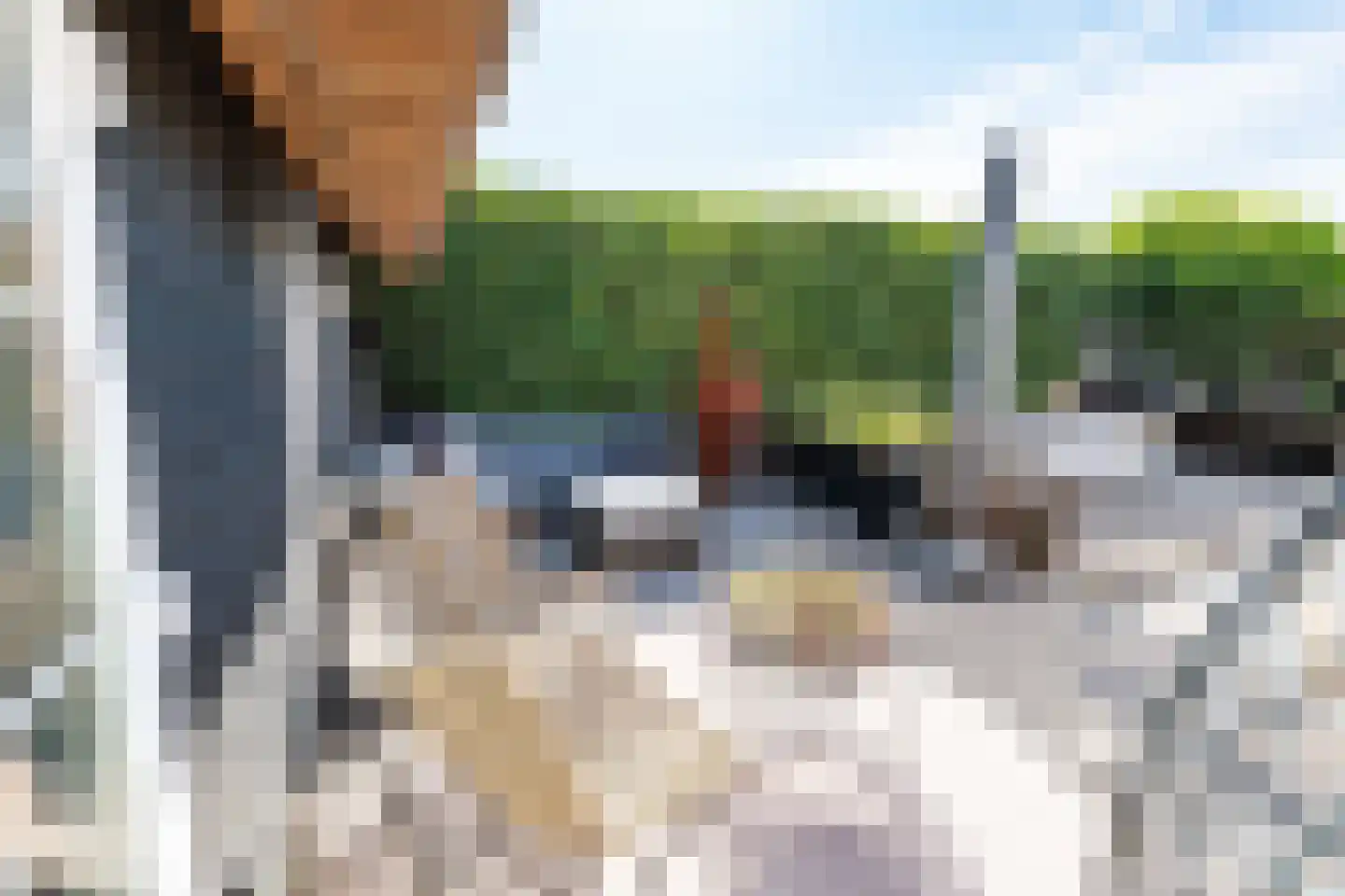 Oude Vest 209 Leiden thumbnail 23