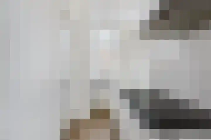 Oude Vest 209 Leiden thumbnail 8
