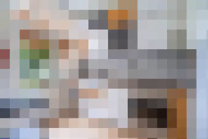 Oude Vest 28 Breda thumbnail 10