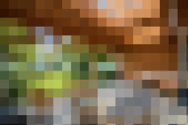 Oude Vest 28 Breda thumbnail 12