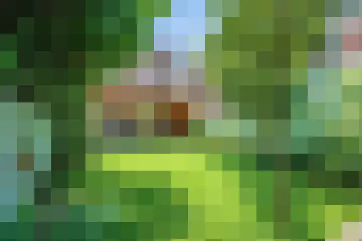 Oude Vest 28 Breda thumbnail 17