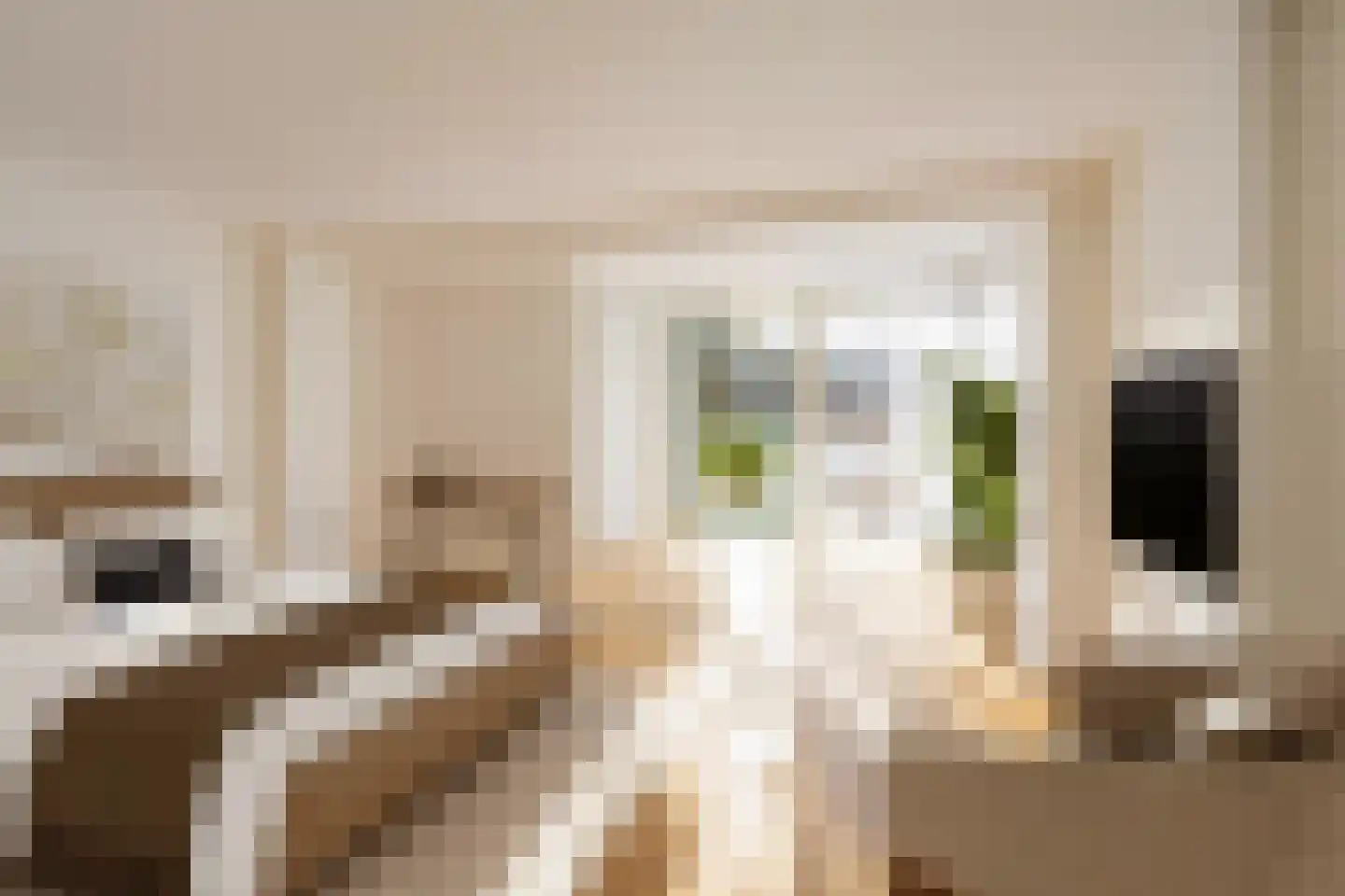 Oude Vest 6 D5 Breda thumbnail 31